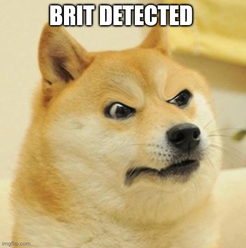 Confused Angery Doge | BRIT DETECTED | image tagged in confused angery doge | made w/ Imgflip meme maker