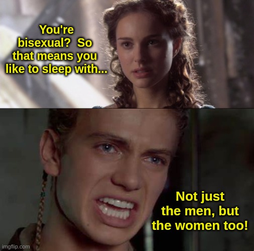 Anakin | You're bisexual?  So 
that means you 
like to sleep with... Not just the men, but the women too! | image tagged in lgbt | made w/ Imgflip meme maker