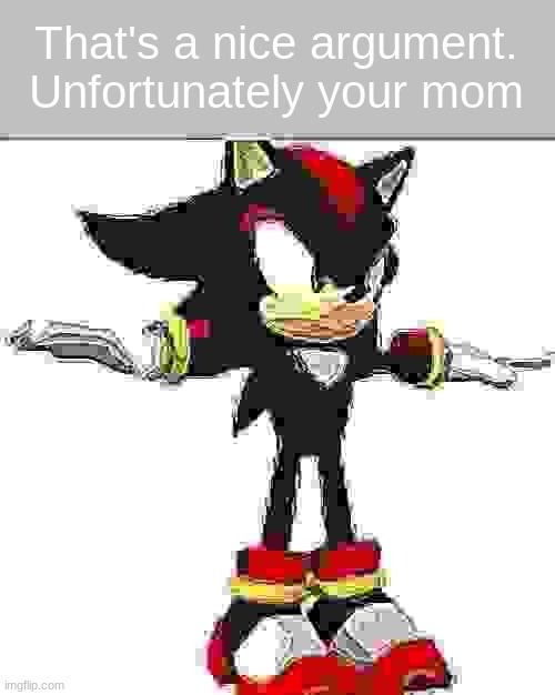 Shadow t pose but in low quality | That's a nice argument. Unfortunately your mom | image tagged in shadow t pose but in low quality | made w/ Imgflip meme maker