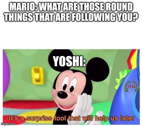 Very surprising. | MARIO: WHAT ARE THOSE ROUND THINGS THAT ARE FOLLOWING YOU? YOSHI: | image tagged in it's a surprise tool that will help us later,yoshi,mario | made w/ Imgflip meme maker
