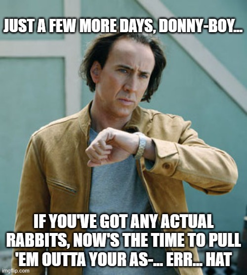 Tick... tick... tick... | JUST A FEW MORE DAYS, DONNY-BOY... IF YOU'VE GOT ANY ACTUAL RABBITS, NOW'S THE TIME TO PULL 'EM OUTTA YOUR AS-... ERR... HAT | image tagged in nicolas cage clock,courtroom | made w/ Imgflip meme maker