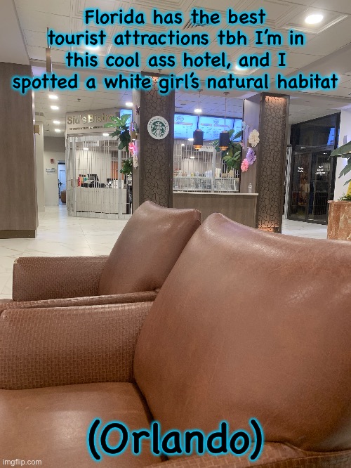 And ik u don’t care but this place is cool enough to yk share this cuz why not :> | Florida has the best tourist attractions tbh I’m in this cool ass hotel, and I spotted a white girl’s natural habitat; (Orlando) | made w/ Imgflip meme maker