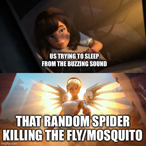 Overwatch Mercy Meme | US TRYING TO SLEEP FROM THE BUZZING SOUND THAT RANDOM SPIDER KILLING THE FLY/MOSQUITO | image tagged in overwatch mercy meme | made w/ Imgflip meme maker