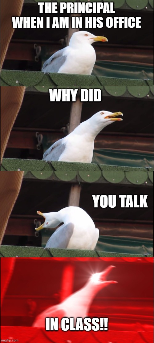 Inhaling Seagull | THE PRINCIPAL WHEN I AM IN HIS OFFICE; WHY DID; YOU TALK; IN CLASS!! | image tagged in memes,inhaling seagull | made w/ Imgflip meme maker