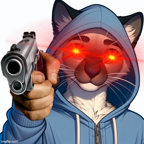 the cat is angry | image tagged in cat | made w/ Imgflip meme maker