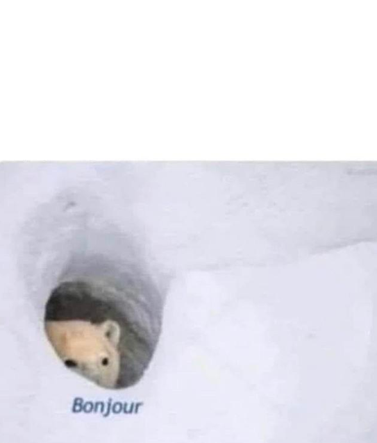 Bonjour bear Blank Meme Template