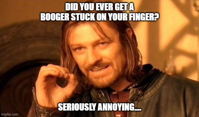 One Does Not Simply | DID YOU EVER GET A BOOGER STUCK ON YOUR FINGER? SERIOUSLY ANNOYING.... | image tagged in memes,one does not simply | made w/ Imgflip meme maker