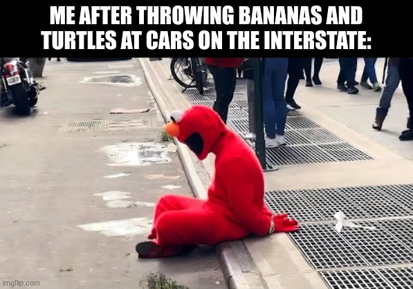 I thought it was legal! | ME AFTER THROWING BANANAS AND TURTLES AT CARS ON THE INTERSTATE: | image tagged in arrested elmo | made w/ Imgflip meme maker