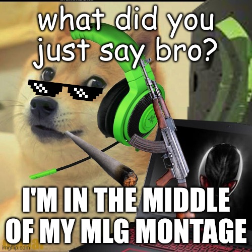 what did you say bro? | what did you just say bro? I'M IN THE MIDDLE OF MY MLG MONTAGE | image tagged in gamer doge | made w/ Imgflip meme maker