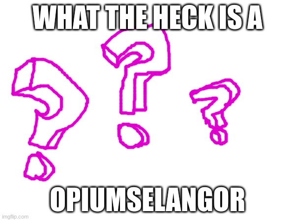 Is he a spammer? | WHAT THE HECK IS A; OPIUMSELANGOR | image tagged in memes,question,hmmmmmmm | made w/ Imgflip meme maker