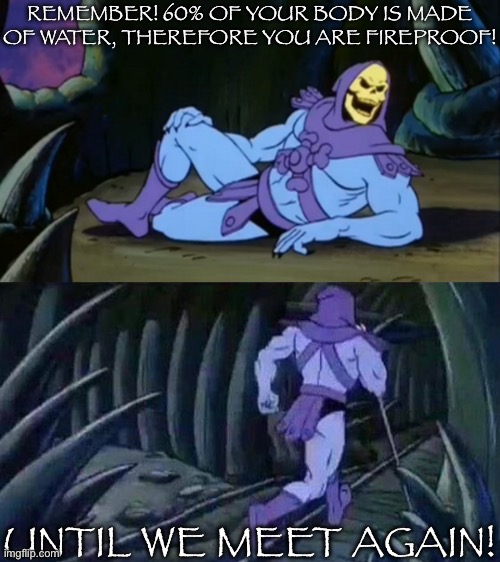 . | REMEMBER! 60% OF YOUR BODY IS MADE OF WATER, THEREFORE YOU ARE FIREPROOF! UNTIL WE MEET AGAIN! | image tagged in skeletor disturbing facts | made w/ Imgflip meme maker