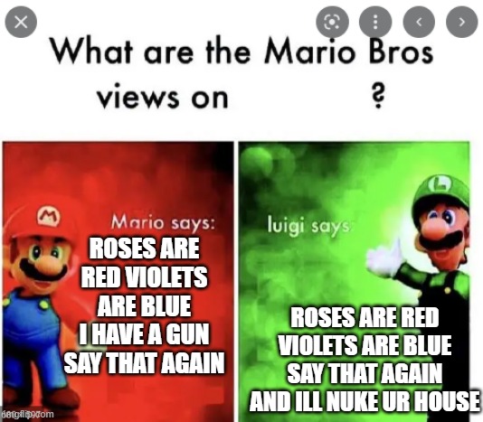 Mario Says Luigi Says | ROSES ARE RED VIOLETS ARE BLUE I HAVE A GUN SAY THAT AGAIN ROSES ARE RED VIOLETS ARE BLUE SAY THAT AGAIN AND ILL NUKE UR HOUSE | image tagged in mario says luigi says | made w/ Imgflip meme maker