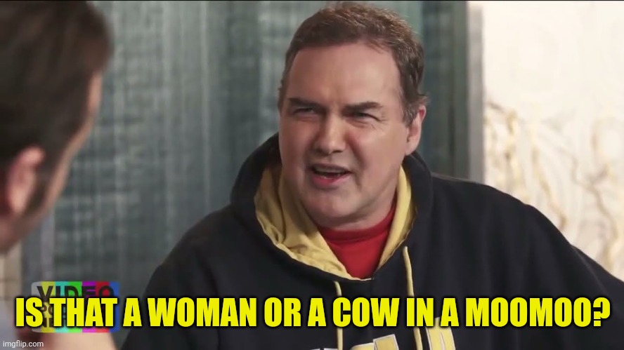 Norm MacDonald "I didn't even know he was sick" | IS THAT A WOMAN OR A COW IN A MOOMOO? | image tagged in norm macdonald i didn't even know he was sick | made w/ Imgflip meme maker