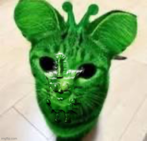 alien cat | image tagged in alien cat,spunch bop | made w/ Imgflip meme maker
