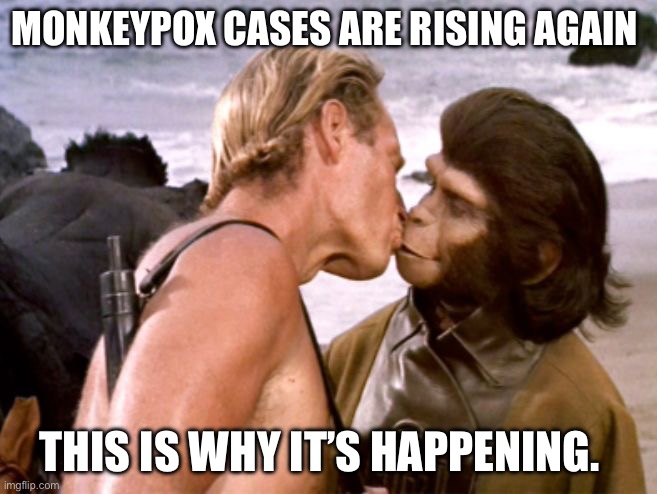 Monkeypox | MONKEYPOX CASES ARE RISING AGAIN; THIS IS WHY IT’S HAPPENING. | image tagged in planet of the apes kiss,monkeypox | made w/ Imgflip meme maker