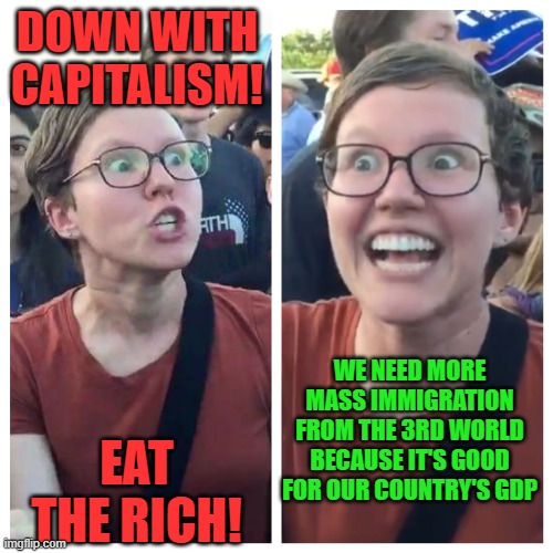 Social Justice Warrior Hypocrisy | DOWN WITH CAPITALISM! WE NEED MORE MASS IMMIGRATION FROM THE 3RD WORLD BECAUSE IT'S GOOD FOR OUR COUNTRY'S GDP; EAT THE RICH! | image tagged in memes,leftist,hypocrisy,capitalism,immigration,immigrants | made w/ Imgflip meme maker