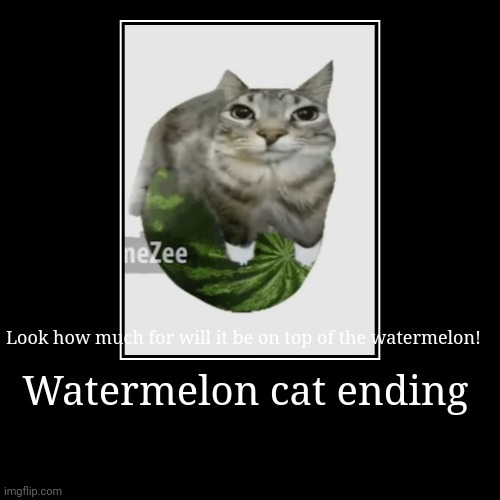 scramble the sentence | Watermelon cat ending | Look how much for will it be on top of the watermelon! | image tagged in funny,demotivationals,memes | made w/ Imgflip demotivational maker