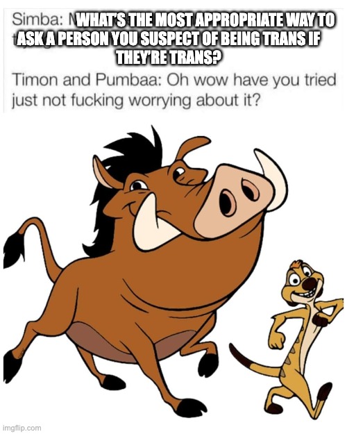 Hakuna matata, dumbass | WHAT’S THE MOST APPROPRIATE WAY TO
ASK A PERSON YOU SUSPECT OF BEING TRANS IF
THEY’RE TRANS? | image tagged in relax,don't worry be happy,be excellent to each other,hakuna matata,transgender | made w/ Imgflip meme maker