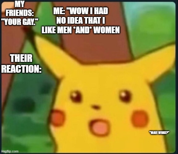 Bisexual B!tch | MY FRIENDS: "YOUR GAY."; ME: "WOW I HAD NO IDEA THAT I LIKE MEN *AND* WOMEN; THEIR REACTION:; "WAIT WHAT?" | image tagged in surprised pikachu | made w/ Imgflip meme maker