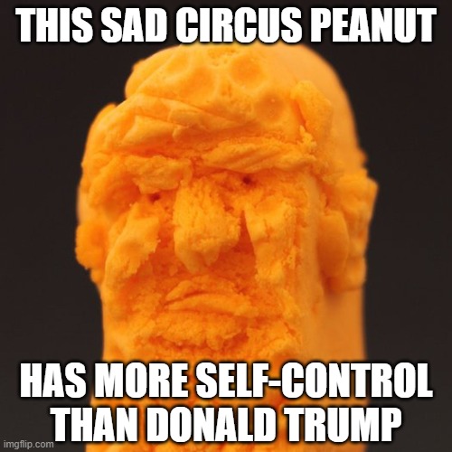 And all of his supporters. Combined. | THIS SAD CIRCUS PEANUT; HAS MORE SELF-CONTROL
THAN DONALD TRUMP | image tagged in donald trump,you are not a clown you are the entire circus,trump,maga,sad,trump supporters | made w/ Imgflip meme maker