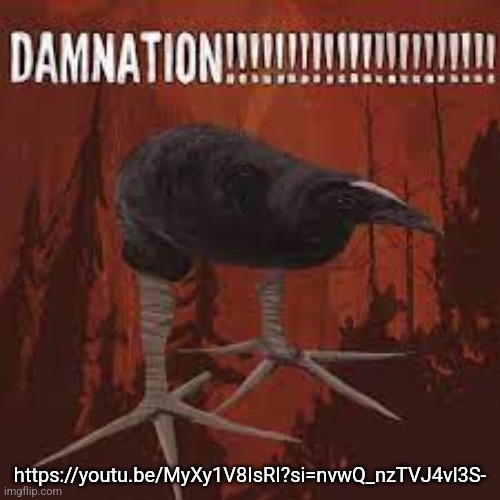 Damn Bird | https://youtu.be/MyXy1V8IsRI?si=nvwQ_nzTVJ4vl3S- | image tagged in damn bird | made w/ Imgflip meme maker