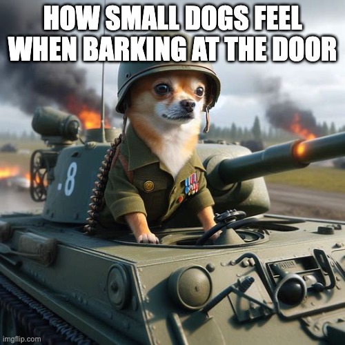 HOW SMALL DOGS FEEL WHEN BARKING AT THE DOOR | made w/ Imgflip meme maker