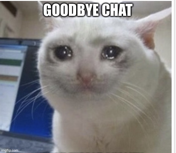 Sad cat | GOODBYE CHAT | image tagged in sad cat | made w/ Imgflip meme maker