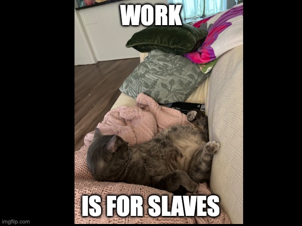 work is for slaves | WORK; IS FOR SLAVES | image tagged in capitalism | made w/ Imgflip meme maker