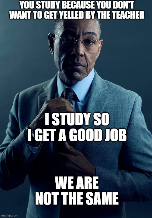 types of people who study | YOU STUDY BECAUSE YOU DON'T WANT TO GET YELLED BY THE TEACHER; I STUDY SO I GET A GOOD JOB; WE ARE NOT THE SAME | image tagged in gus fring we are not the same | made w/ Imgflip meme maker