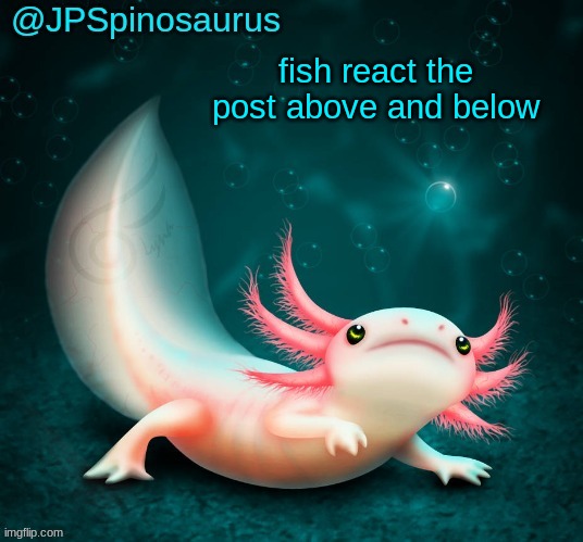 JPSpinosaurus's axolotl announcement temp | fish react the post above and below | image tagged in jpspinosaurus's axolotl announcement temp | made w/ Imgflip meme maker