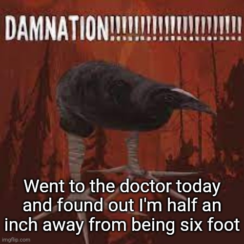 Damn Bird | Went to the doctor today and found out I'm half an inch away from being six foot | image tagged in damn bird | made w/ Imgflip meme maker