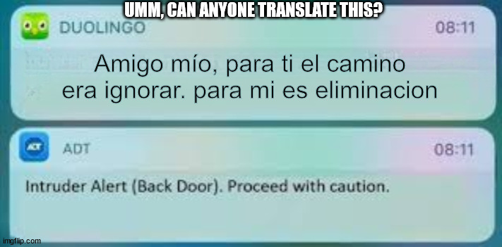 umm, can anyone translate this? | UMM, CAN ANYONE TRANSLATE THIS? Amigo mío, para ti el camino era ignorar. para mi es eliminacion | image tagged in spanish,duolingo | made w/ Imgflip meme maker