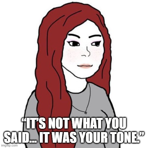 Do you understand? | “IT’S NOT WHAT YOU SAID… IT WAS YOUR TONE.” | image tagged in wifejak | made w/ Imgflip meme maker
