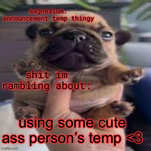 pug temp | using some cute ass person’s temp <3 | image tagged in pug temp | made w/ Imgflip meme maker