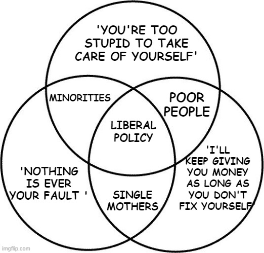 Venn diagram | 'YOU'RE TOO STUPID TO TAKE CARE OF YOURSELF'; MINORITIES; LIBERAL POLICY; POOR PEOPLE; 'I'LL KEEP GIVING YOU MONEY AS LONG AS YOU DON'T FIX YOURSELF'; 'NOTHING IS EVER YOUR FAULT '; SINGLE MOTHERS | image tagged in venn diagram | made w/ Imgflip meme maker