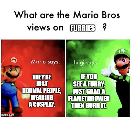 furries should be banned | FURRIES; THEY'RE JUST NORMAL PEOPLE, WEARING A COSPLAY. IF YOU SEE A FURRY, JUST GRAB A FLAMETHROWER THEN BURN IT. | image tagged in mario bros views,anti furry | made w/ Imgflip meme maker