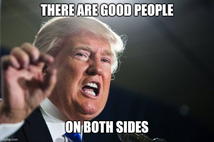 donald trump | THERE ARE GOOD PEOPLE ON BOTH SIDES | image tagged in donald trump | made w/ Imgflip meme maker
