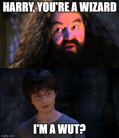 You're a wizard harry | HARRY, YOU'RE A WIZARD; I'M A WUT? | image tagged in you're a wizard harry | made w/ Imgflip meme maker