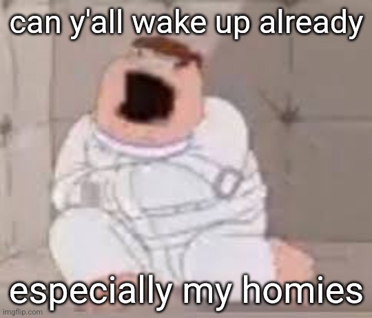 Peter Griffin insane asylum | can y'all wake up already; especially my homies | image tagged in peter griffin insane asylum | made w/ Imgflip meme maker