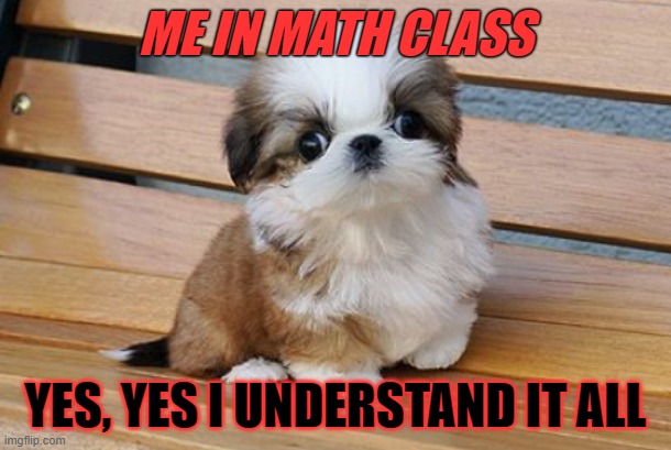 Maths classes be like | ME IN MATH CLASS; YES, YES I UNDERSTAND IT ALL | image tagged in huh | made w/ Imgflip meme maker