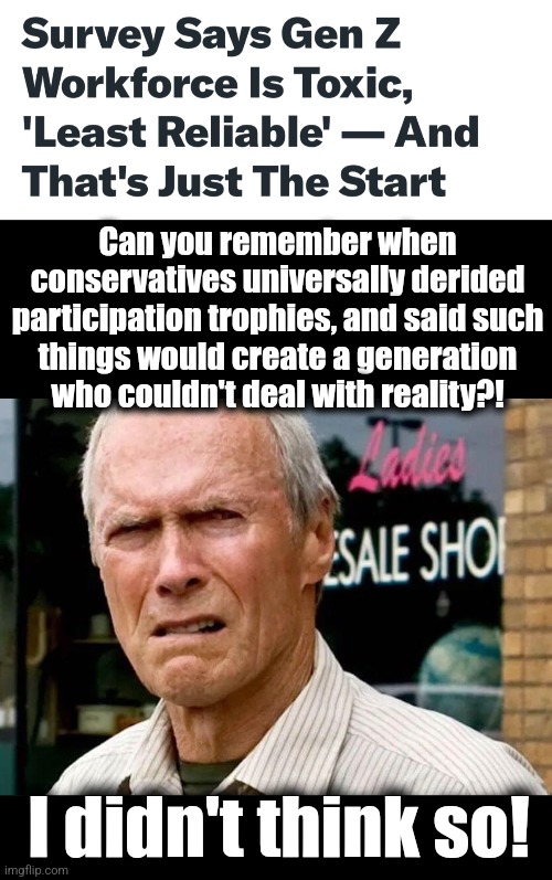 Snowflakes in a world where snow doesn't last very long | Can you remember when
conservatives universally derided
participation trophies, and said such
things would create a generation
who couldn't deal with reality?! I didn't think so! | image tagged in memes,gen z,zoomers,work,libs,democrats | made w/ Imgflip meme maker