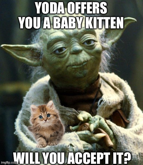 Will You Accept The Baby Kitten? | YODA OFFERS YOU A BABY KITTEN; WILL YOU ACCEPT IT? | image tagged in memes,star wars yoda,cats | made w/ Imgflip meme maker