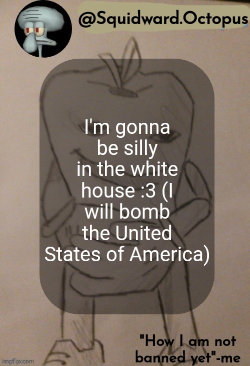 dingus | I'm gonna be silly in the white house :3 (I will bomb the United States of America) | image tagged in dingus | made w/ Imgflip meme maker