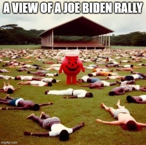 A view of a Joe Biden rally | A VIEW OF A JOE BIDEN RALLY | image tagged in biden,joe biden | made w/ Imgflip meme maker