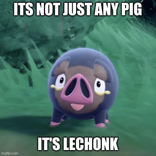 Lechonk | ITS NOT JUST ANY PIG IT'S LECHONK | image tagged in lechonk | made w/ Imgflip meme maker