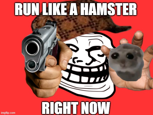RUN LIKE A HAMSTER NOW | RUN LIKE A HAMSTER; RIGHT NOW | image tagged in run,like,hamster,right now | made w/ Imgflip meme maker