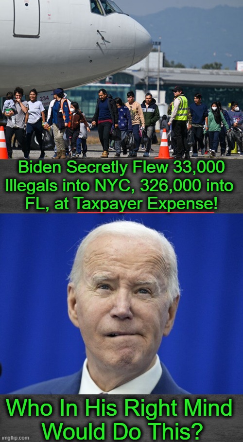 One Flew Over The Cuckoo's Nest | ______________; Biden Secretly Flew 33,000
Illegals into NYC, 326,000 into 

FL, at Taxpayer Expense! Who In His Right Mind 
Would Do This? | image tagged in joe biden,invasion,open borders,taxpayer,debt,political humor | made w/ Imgflip meme maker