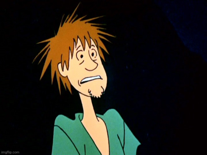 Shaggy Shocked Face and Scooby Doo | image tagged in shaggy shocked face and scooby doo | made w/ Imgflip meme maker