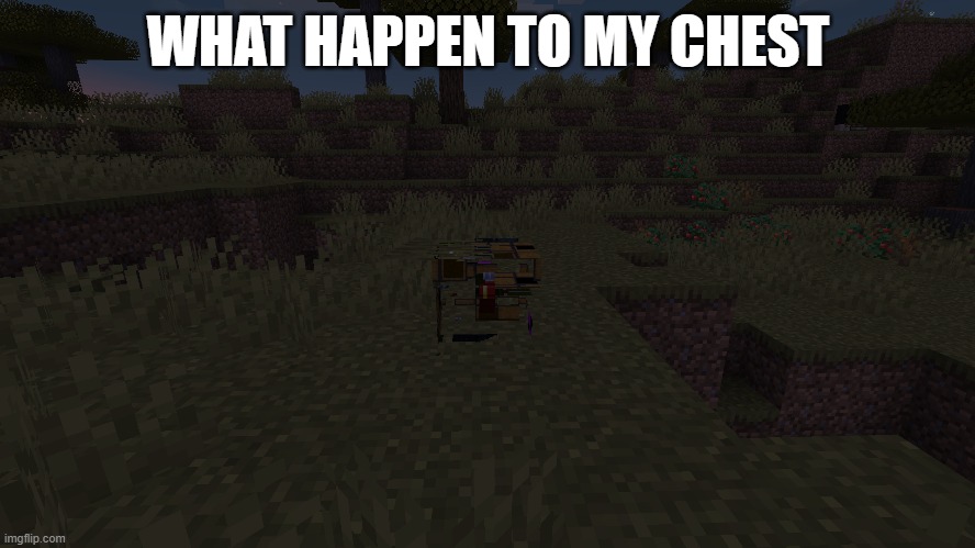 what | WHAT HAPPEN TO MY CHEST | image tagged in minecraft,glitch | made w/ Imgflip meme maker