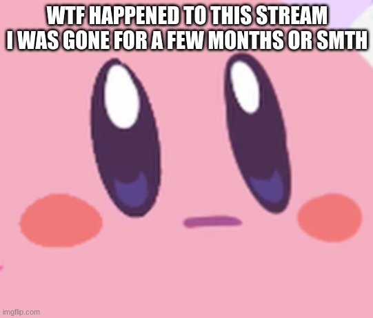 Blank Kirby Face | WTF HAPPENED TO THIS STREAM I WAS GONE FOR A FEW MONTHS OR SMTH | image tagged in blank kirby face | made w/ Imgflip meme maker